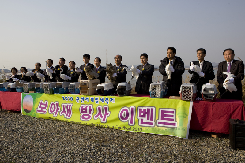 군산세계철새축제 개막(11-10)